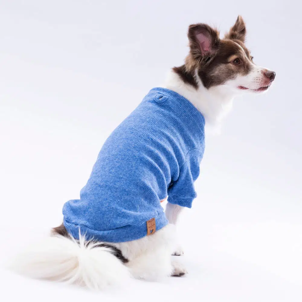 Pawstar Blue Merino Sweat XL