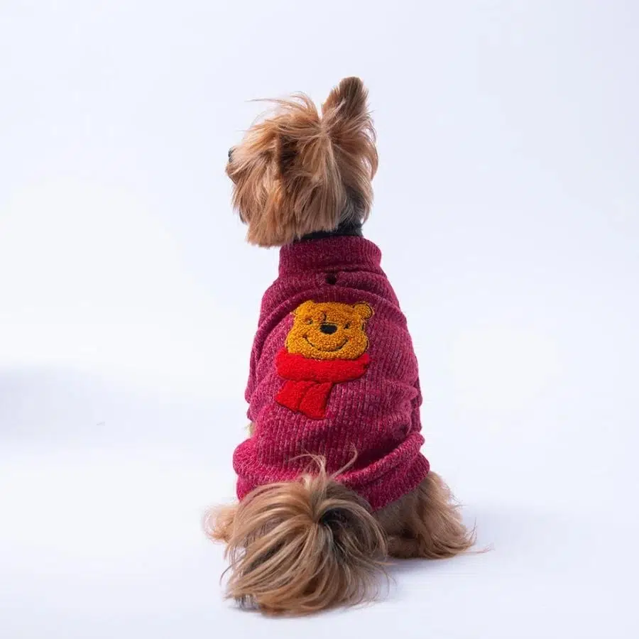 Pawstar Bordo Winnie Sweat XL 25716