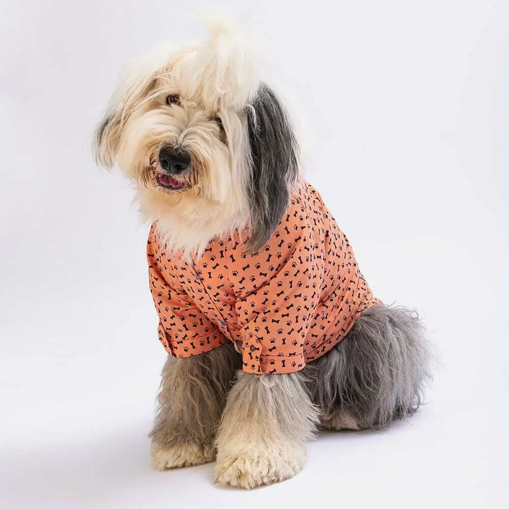 Pawstar Büyük Irk Köpek Gömleği Somon Ossa 3XL 23454