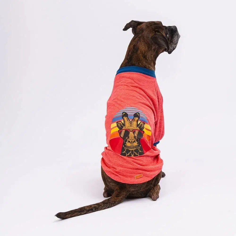 Pawstar Büyük Irk Köpek Sweati Giraffe Vermilion 5XL 23753