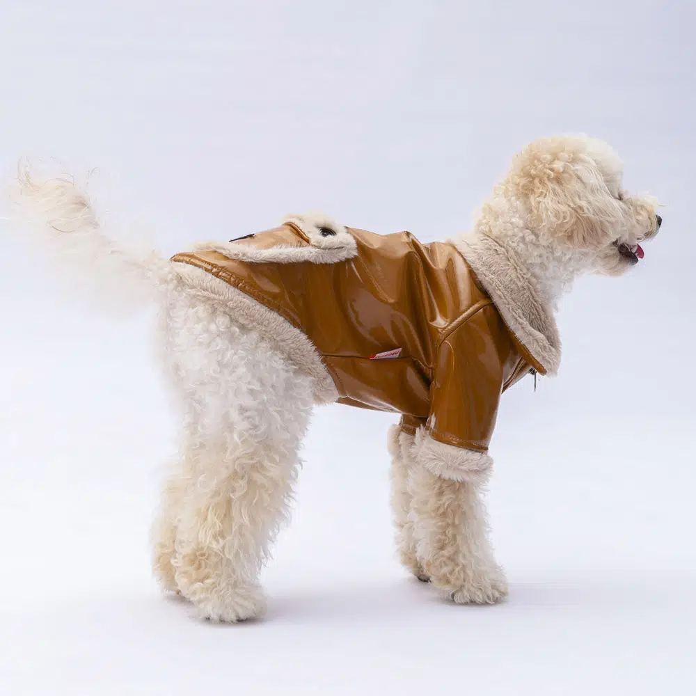 Pawstar Camel Vegas Ceket 2XL 24204