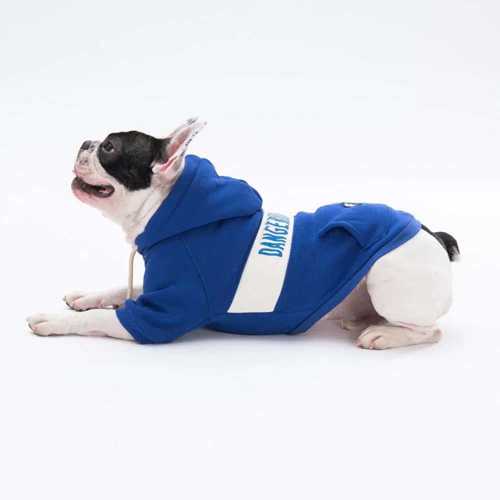 Pawstar Cute Hoodie Mavi Kapşonlu Köpek Sweati M 23705