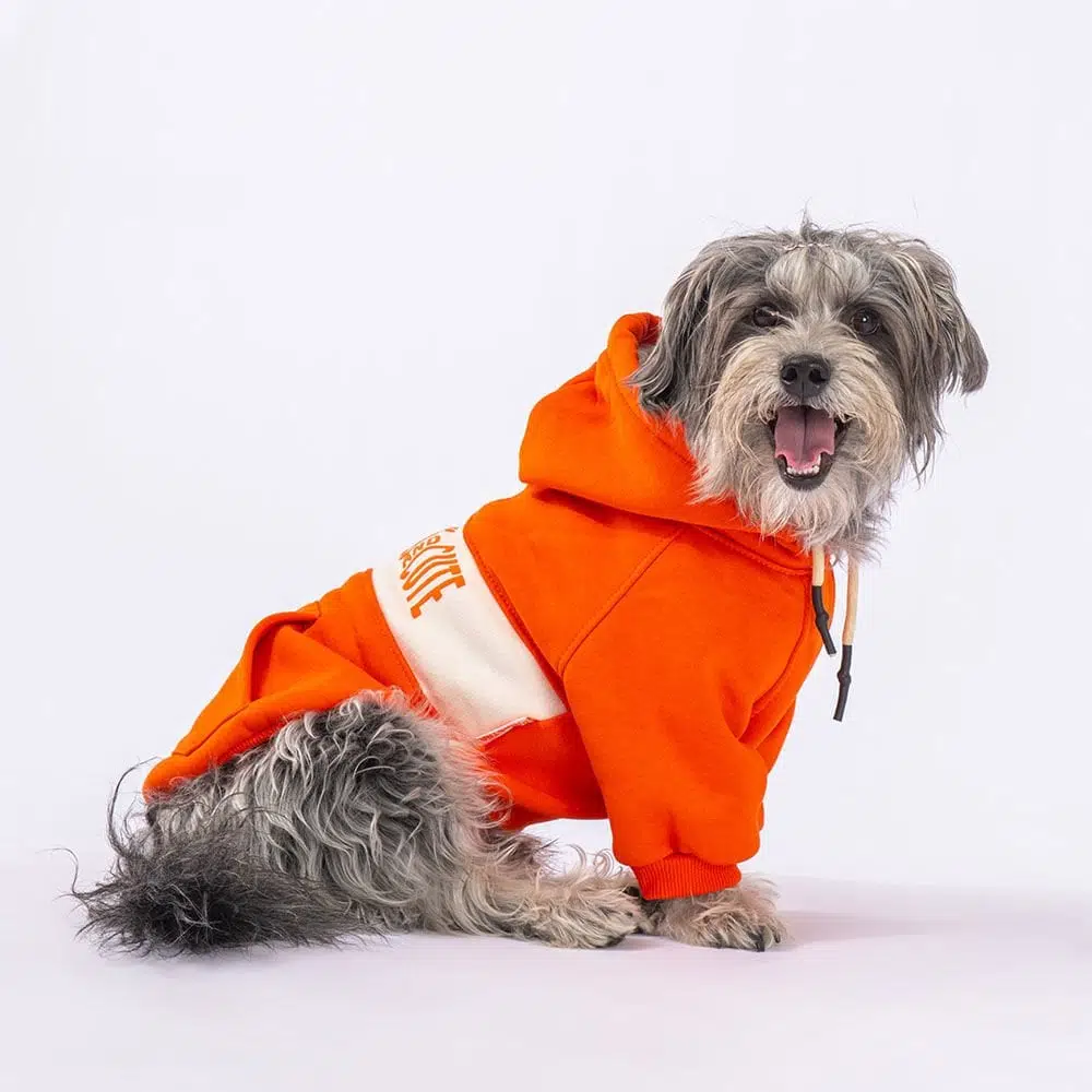 Pawstar Cute Hoodie Turuncu Kapşonlu Köpek Sweati M 23708