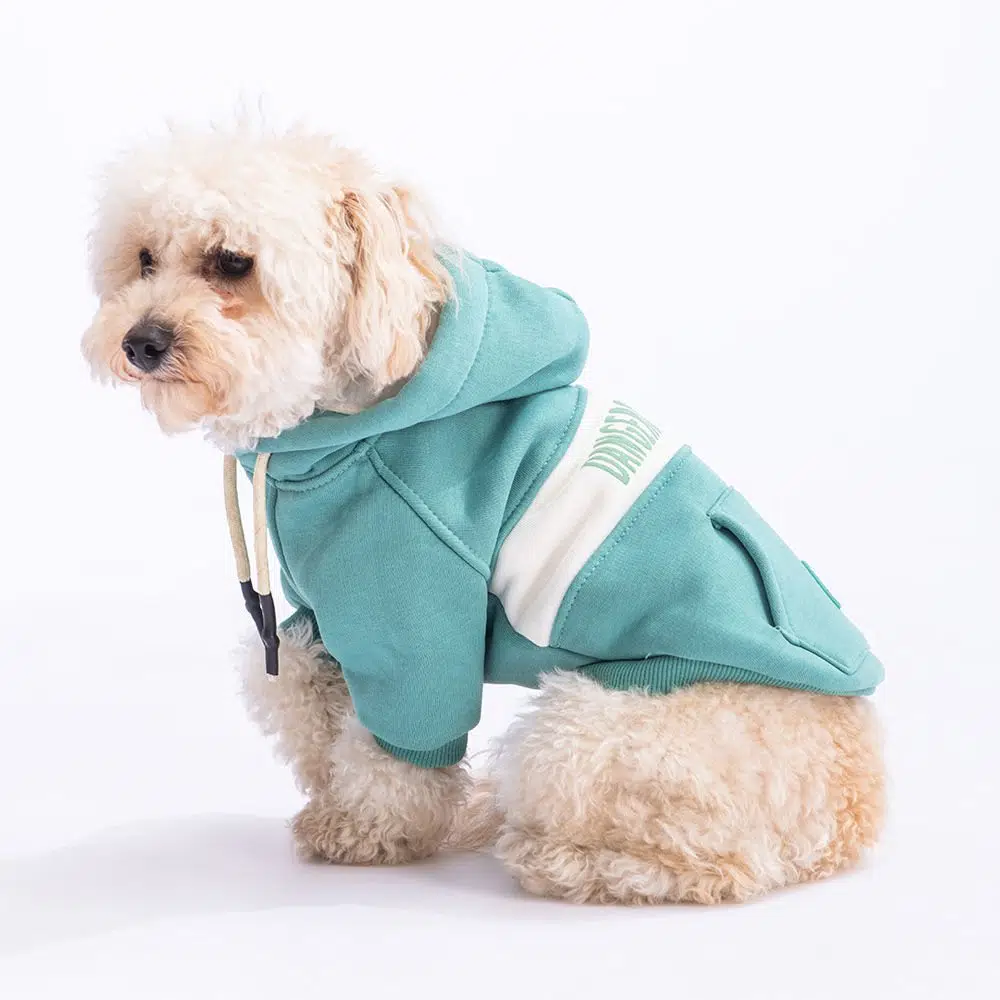 Pawstar Cute Hoodie Yeşil Kapşonlu Köpek Sweati M 23707