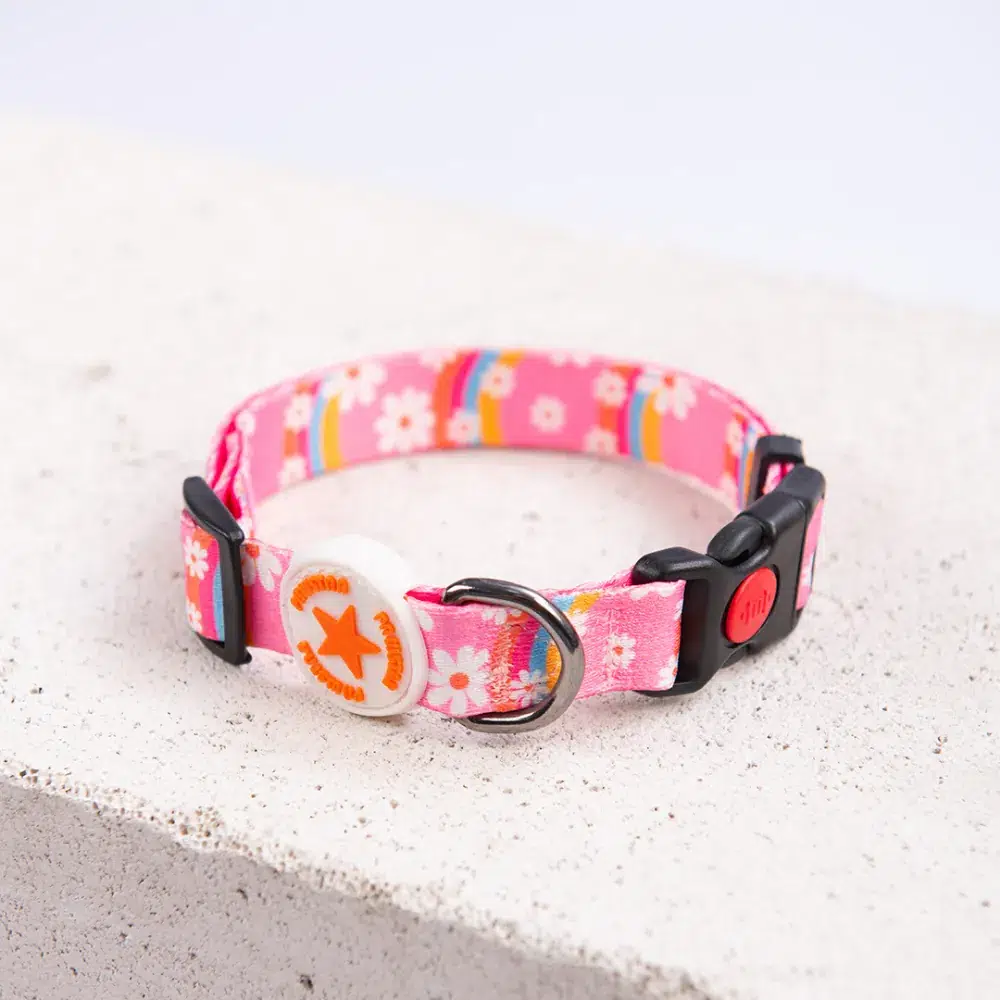 Pawstar Desenli Köpek Boyun Tasması Daisy S 1,5*26-38 CM