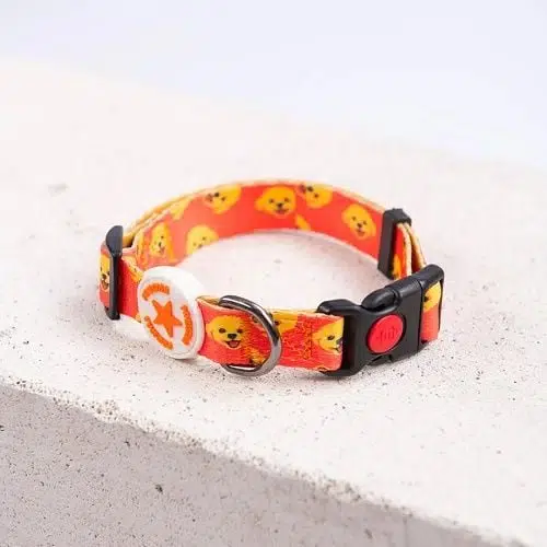 Pawstar Desenli Köpek Boyun Tasması Poodle M 2*32-48 CM