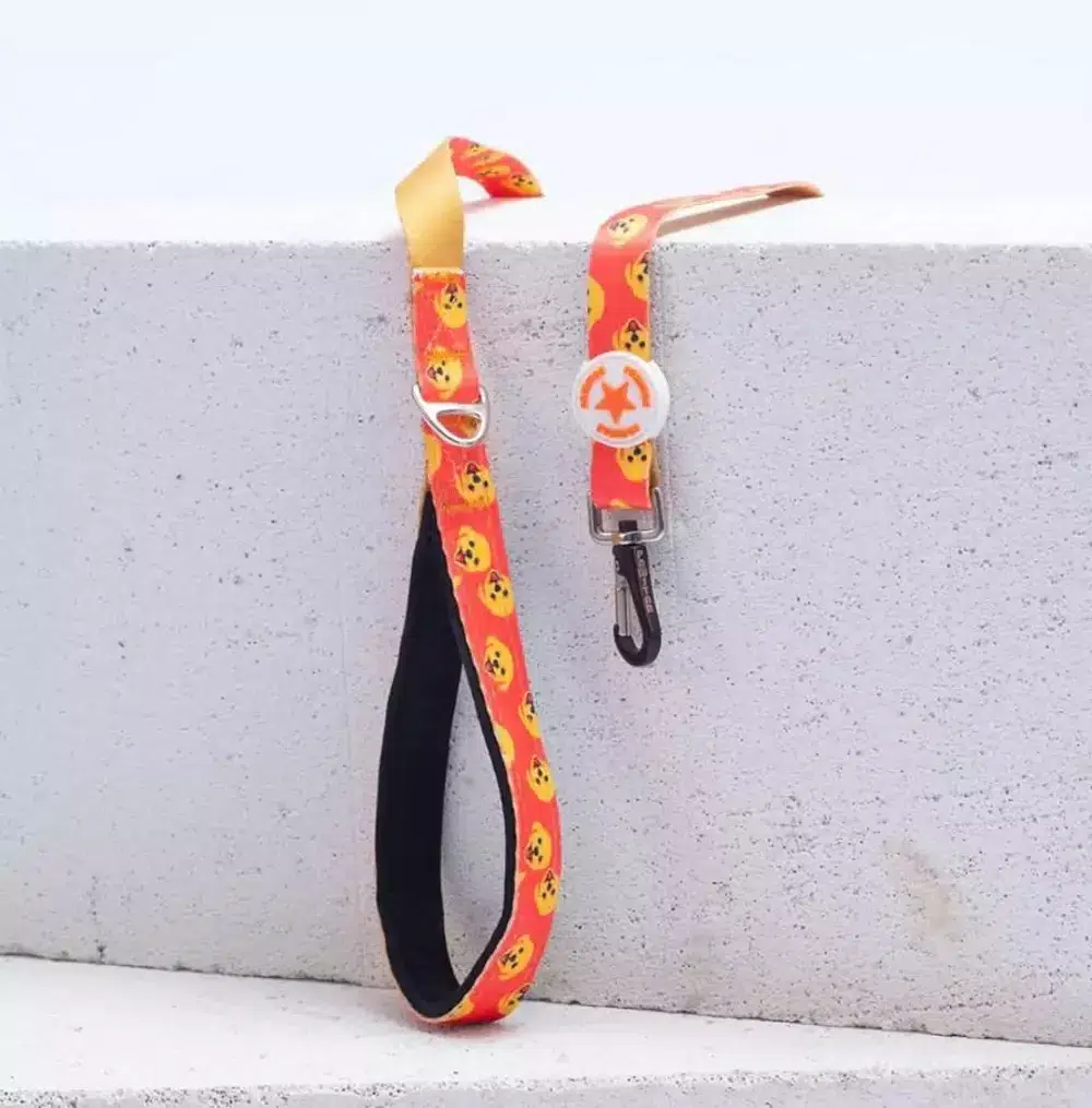 PAWSTAR DESENLİ SEVK KAYIŞI POODLE 2*120 CM