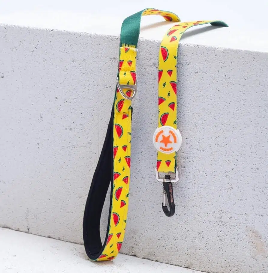 PAWSTAR DESENLİ SEVK KAYIŞI WATERMELON 2*120 CM