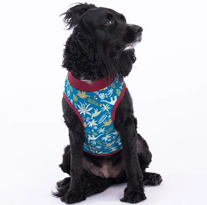 Pawstar Dino Tshirt XL 23823