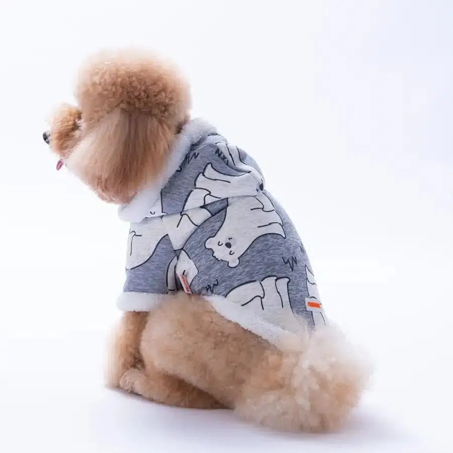 Pawstar Frost Polarlı Sweat Kapşonlu M 25201