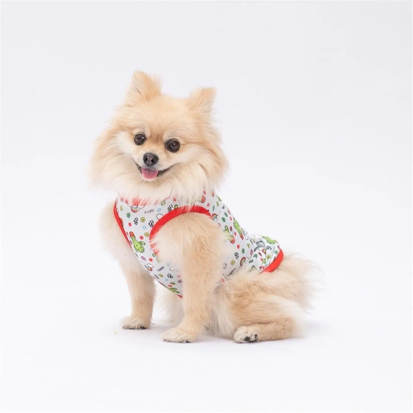 Pawstar Happy Cactus Tshirt XL