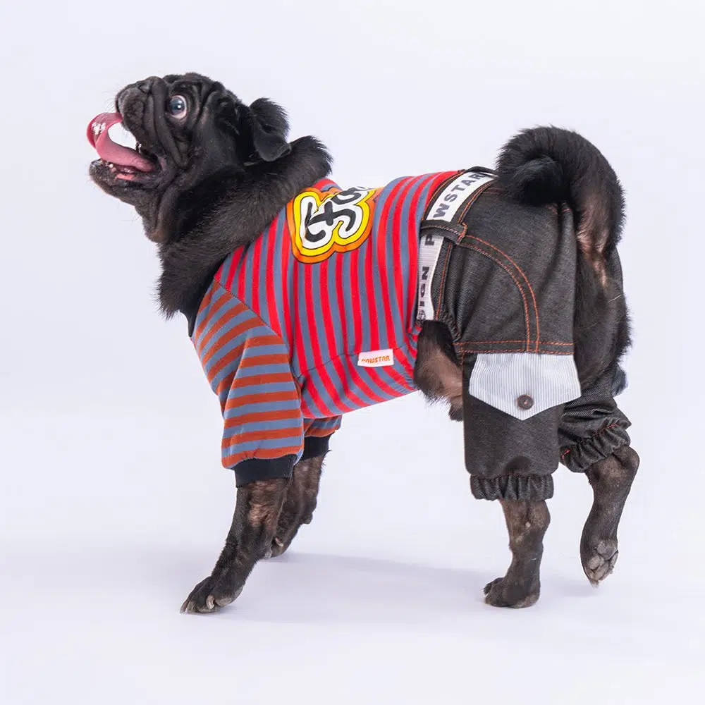 Pawstar İndigo Foodie Köpek Tulumu 2XL 23918