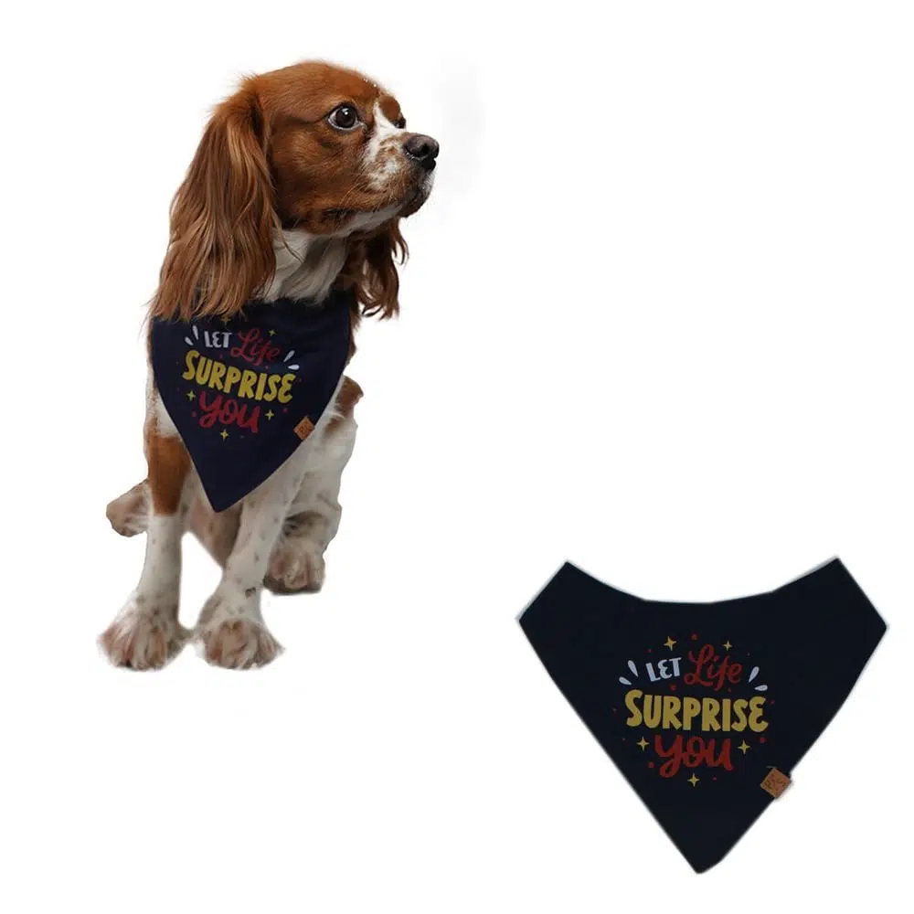 Pawstar Köpek Bandana Fular Lacivert Surprise No:1