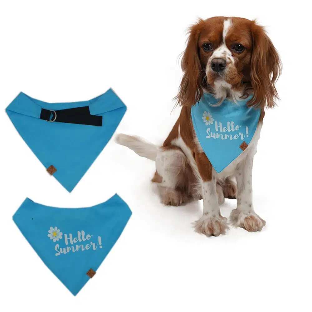 Pawstar Köpek Bandana Fular Mavi Hello Summer No:1
