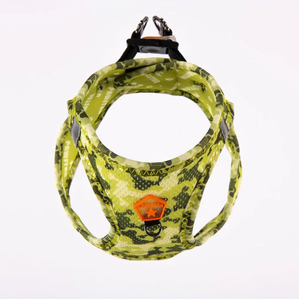 Pawstar Köpek Göğüs Tasması GreeNosa Desenli S