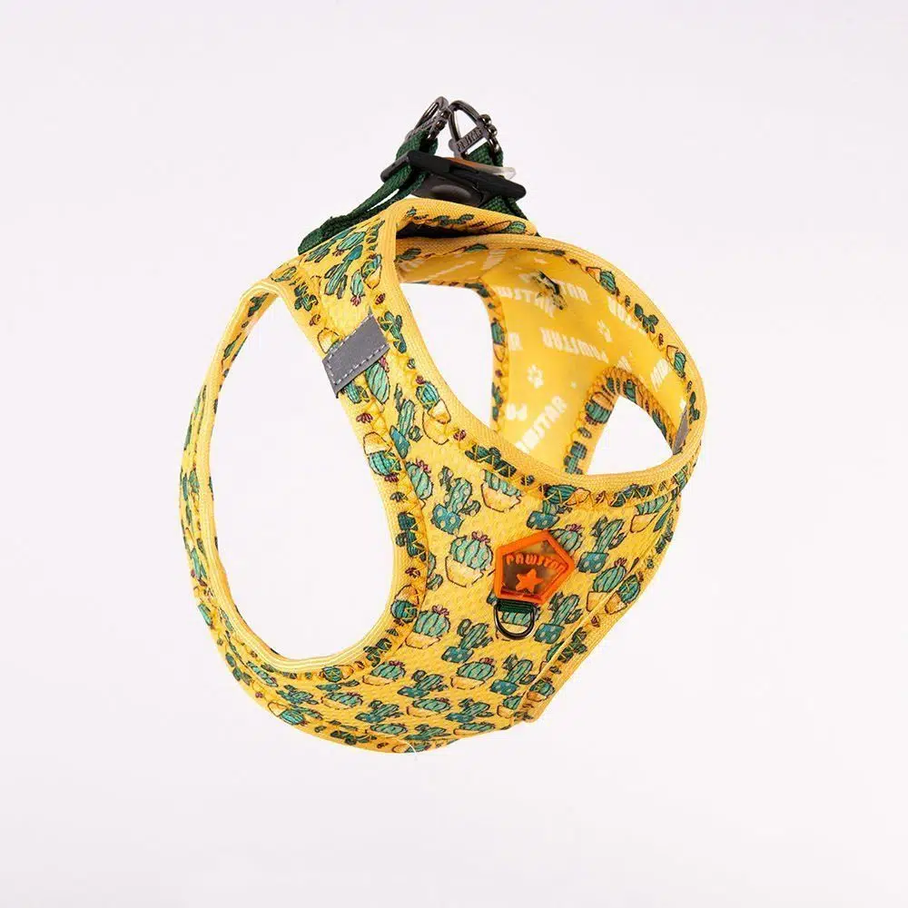 Pawstar Köpek Göğüs Tasması Kaktüs Desenli L