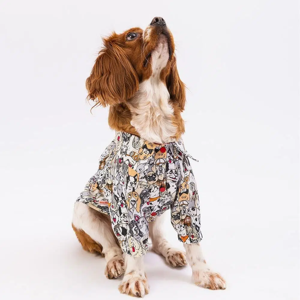 Pawstar Köpek Gömleği Dog Desenli 2XL 23402