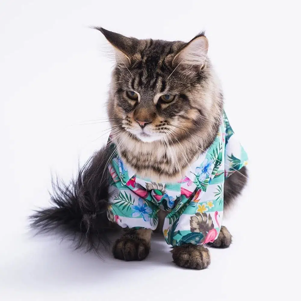 Pawstar Köpek Gömleği Hawai 2XL 23407