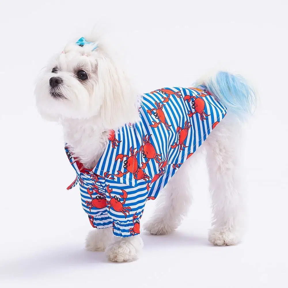 Pawstar Köpek Gömleği Mavi Crab XL 23410