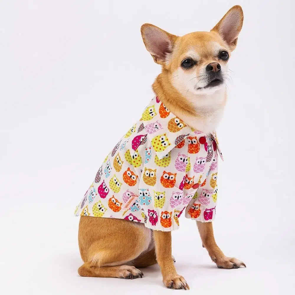 Pawstar Köpek Gömleği Owis 2XL 23401