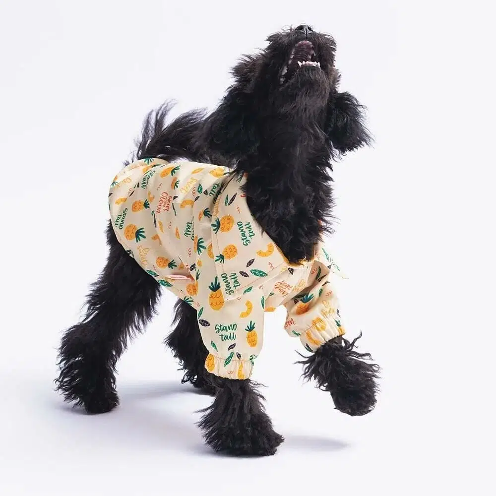 Pawstar Köpek Gömleği Pineapple 2XL 23409