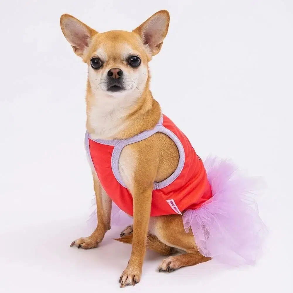 Pawstar Köpek Kıyafeti Hello Summer Kırmızı Dress Tül Etek XL 23303