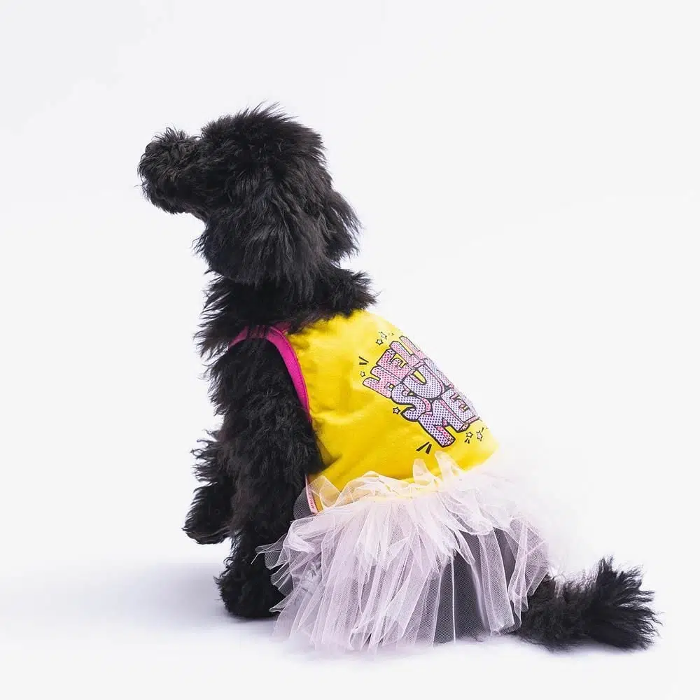 Pawstar Köpek Kıyafeti Hello Summer Sarı Dress Tül Etek M 23303