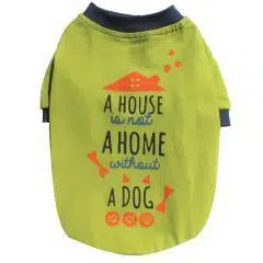 Pawstar Köpek Penyesi Fıstık Yeşili 2XL