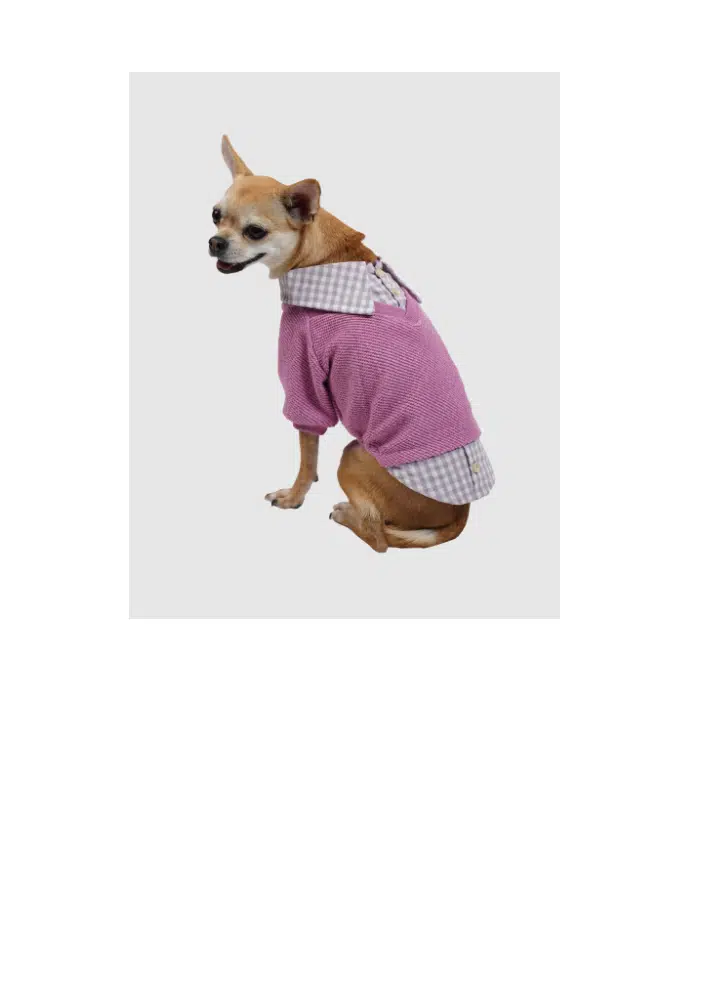 Pawstar Köpek Sweati Gömlekli Pembe 22716 - 2XL