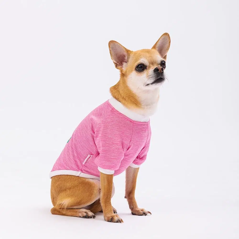 Pawstar Köpek Sweati Pembe Good Day XL 23712