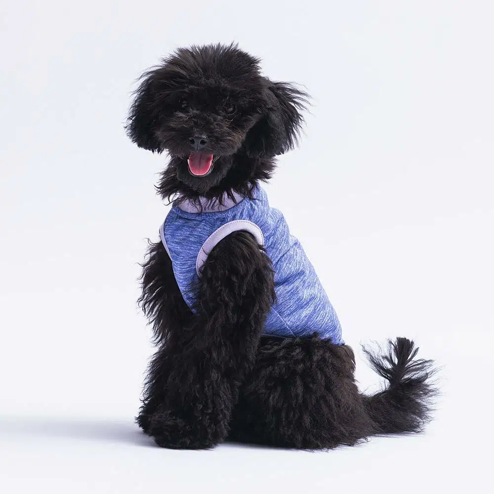 Pawstar Köpek Tişörtü Mavi Lazy Day L 23815