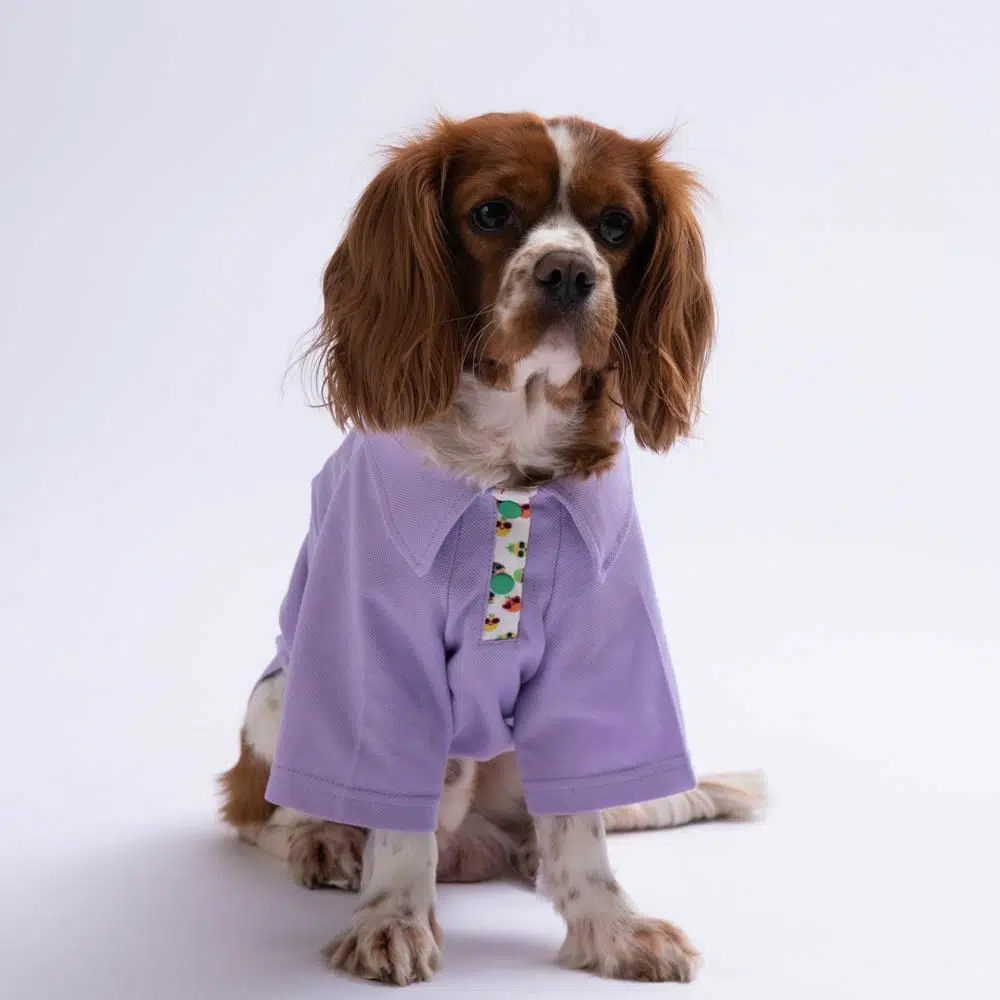 Pawstar Köpek Tişörtü Polo Yaka Coco L