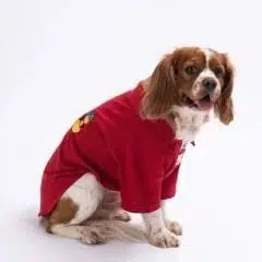 Pawstar Köpek Tişörtü Polo Yaka Pineapple L