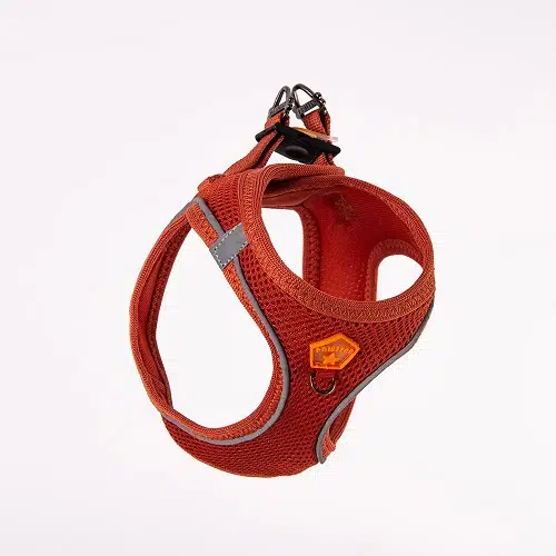 Pawstar Köpek Göğüs Tasması Kiremit M