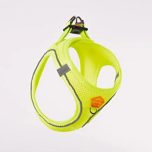 Pawstar Köpek Göğüs Tasması Neon Sarı M