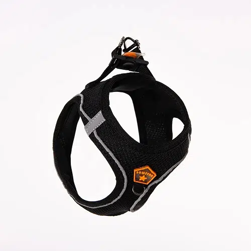 Pawstar Köpek Göğüs Tasması Siyah M