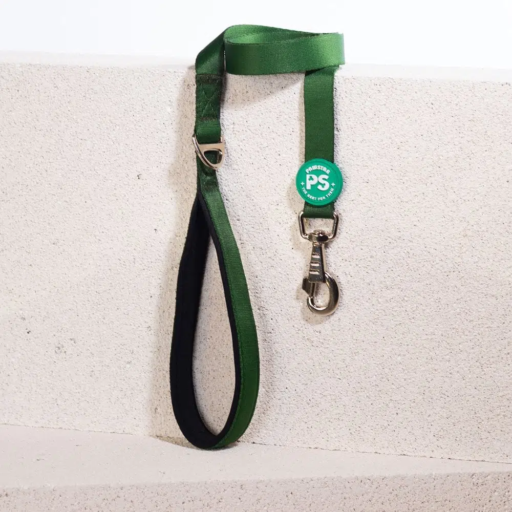 Pawstar Çam Yeşili Sevk Kayışı 120 cm