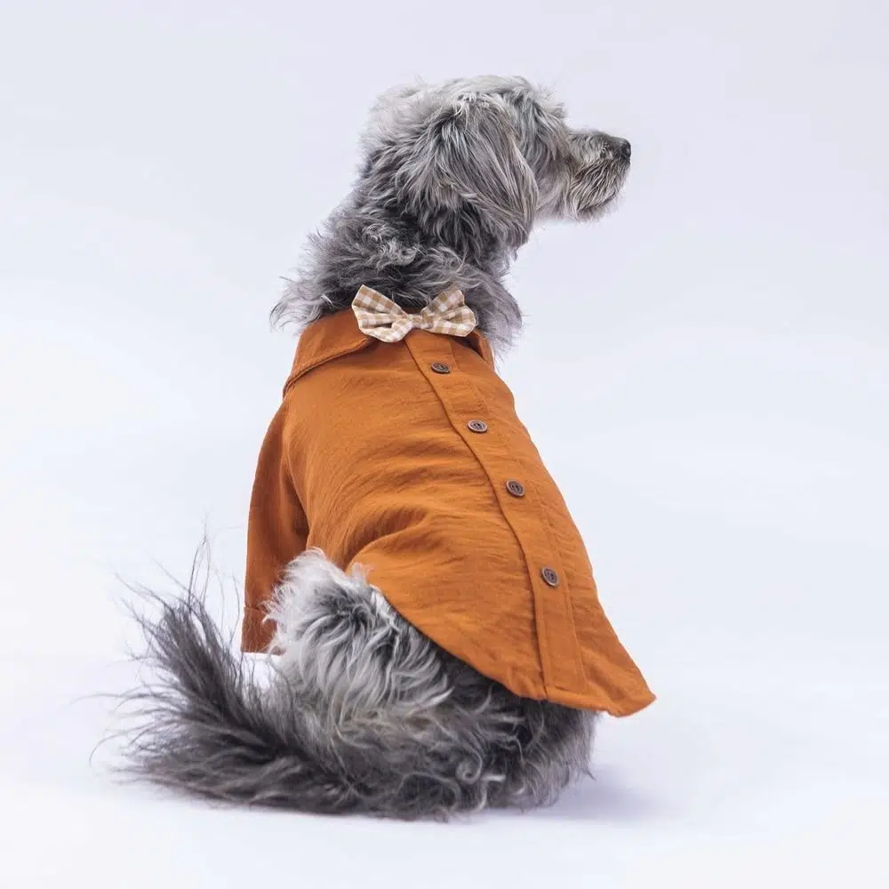 Pawstar Linen Look Gömlek Kahverengi 2XL 24402