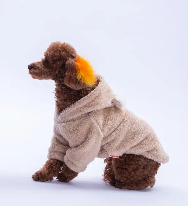 Pawstar Lucca Teddy Polarlı Sweat Bej M 25725