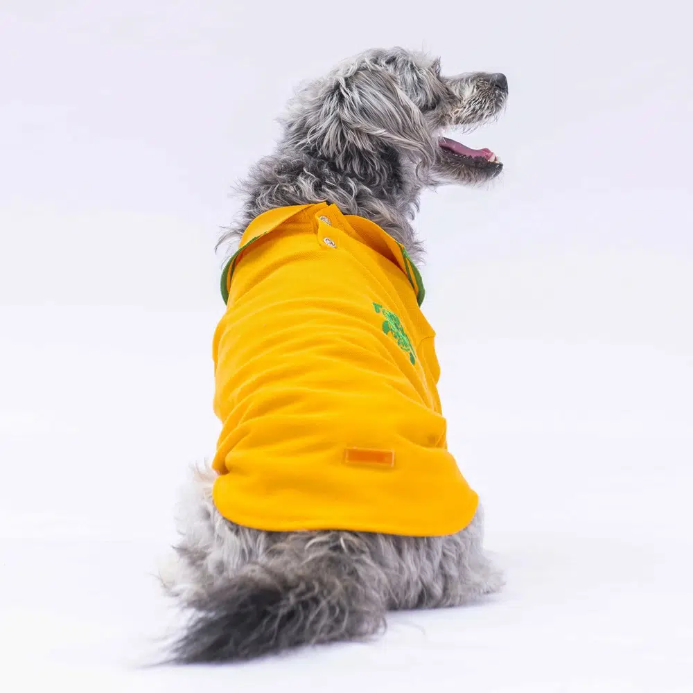 Pawstar Marine Sarı Polo Tshirt 2XL 24815