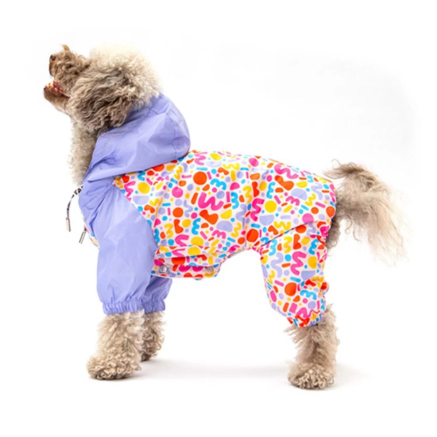 Pawstar Marsala Tulum Yağmurluk XL 24507