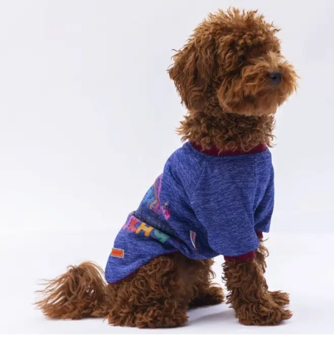 Pawstar Mavi Everything Tshirt M