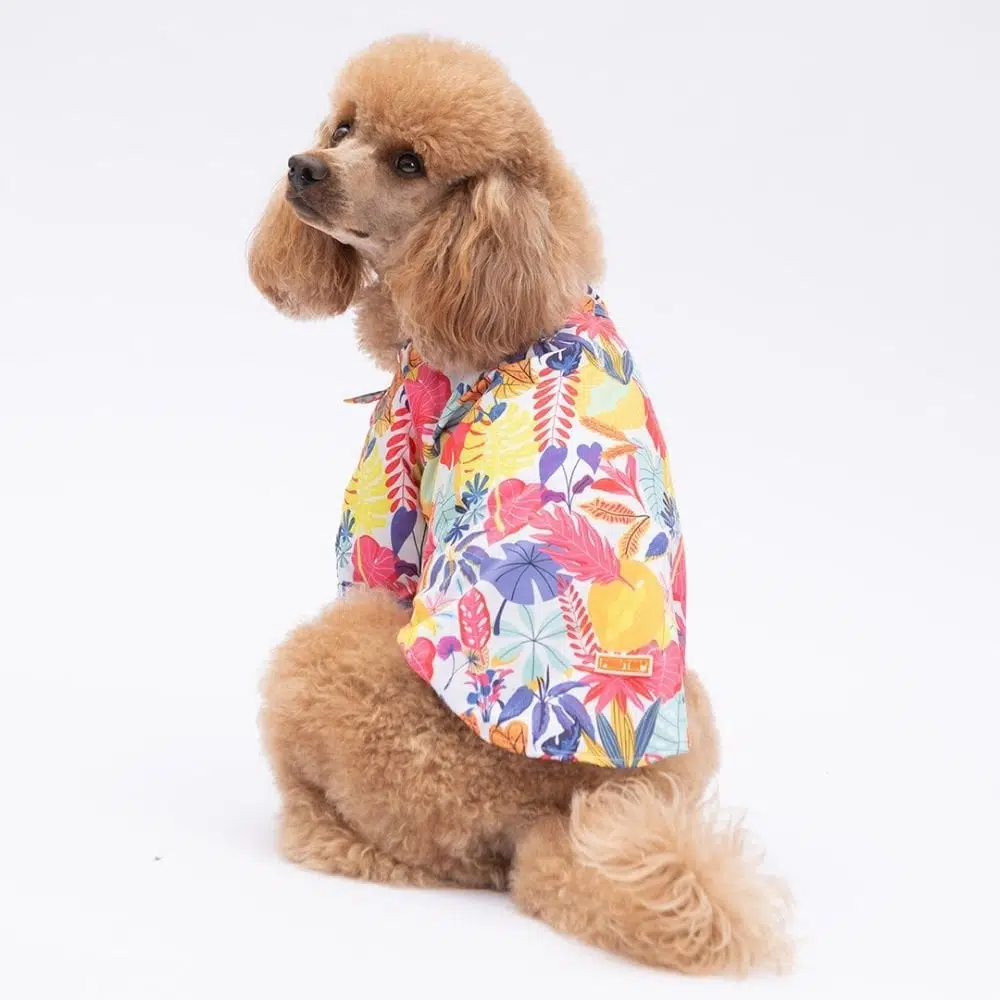 Pawstar Miami Gömlek 2XL