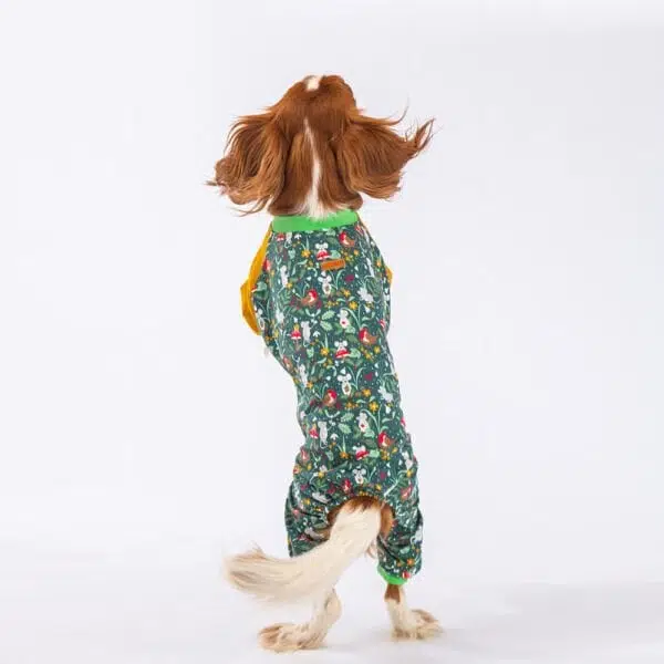 Pawstar Mice Pijama Tulum 2XL