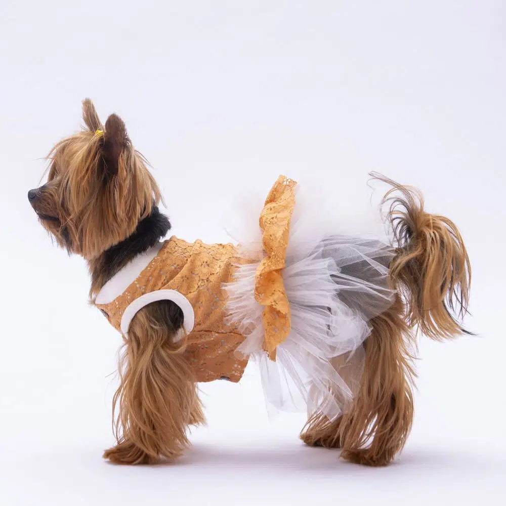 PAWSTAR POLKA KAHVERENGİ TÜTÜLÜ ELBİSE 2XL