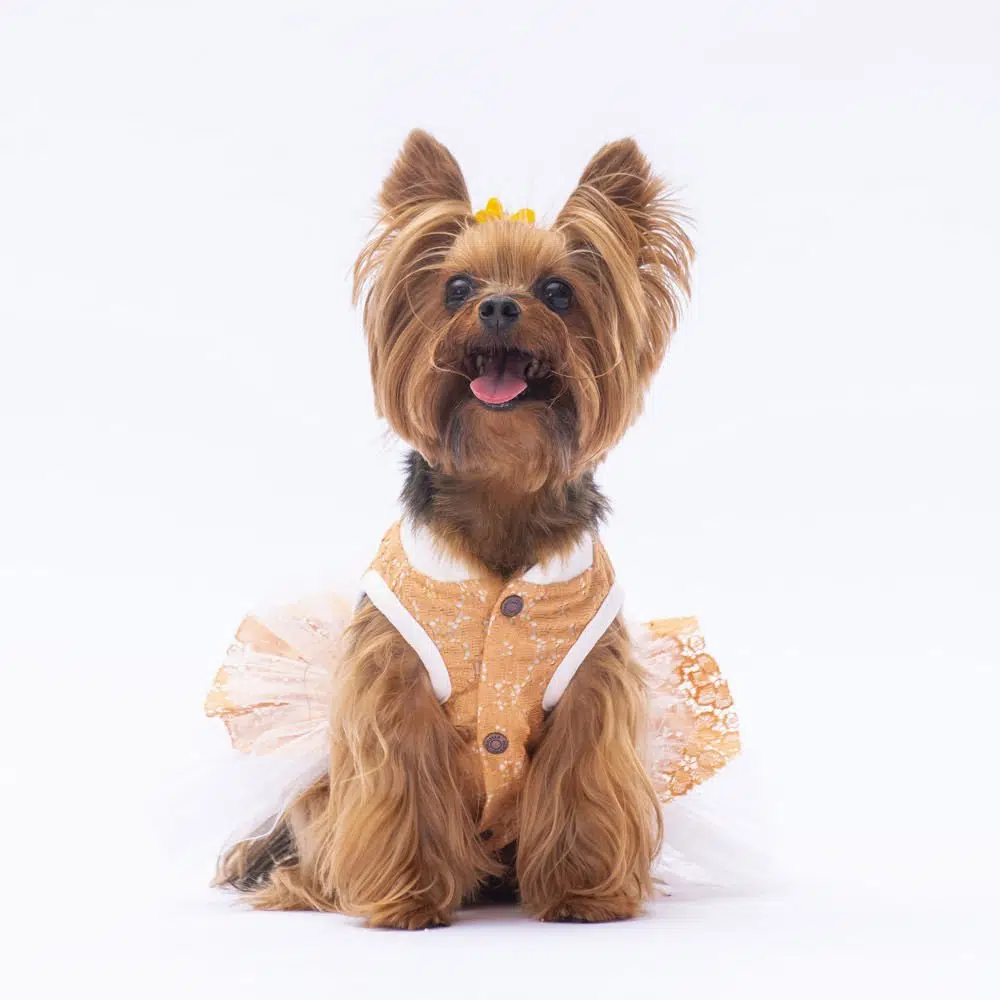 PAWSTAR POLKA KAHVERENGİ TÜTÜLÜ ELBİSE M