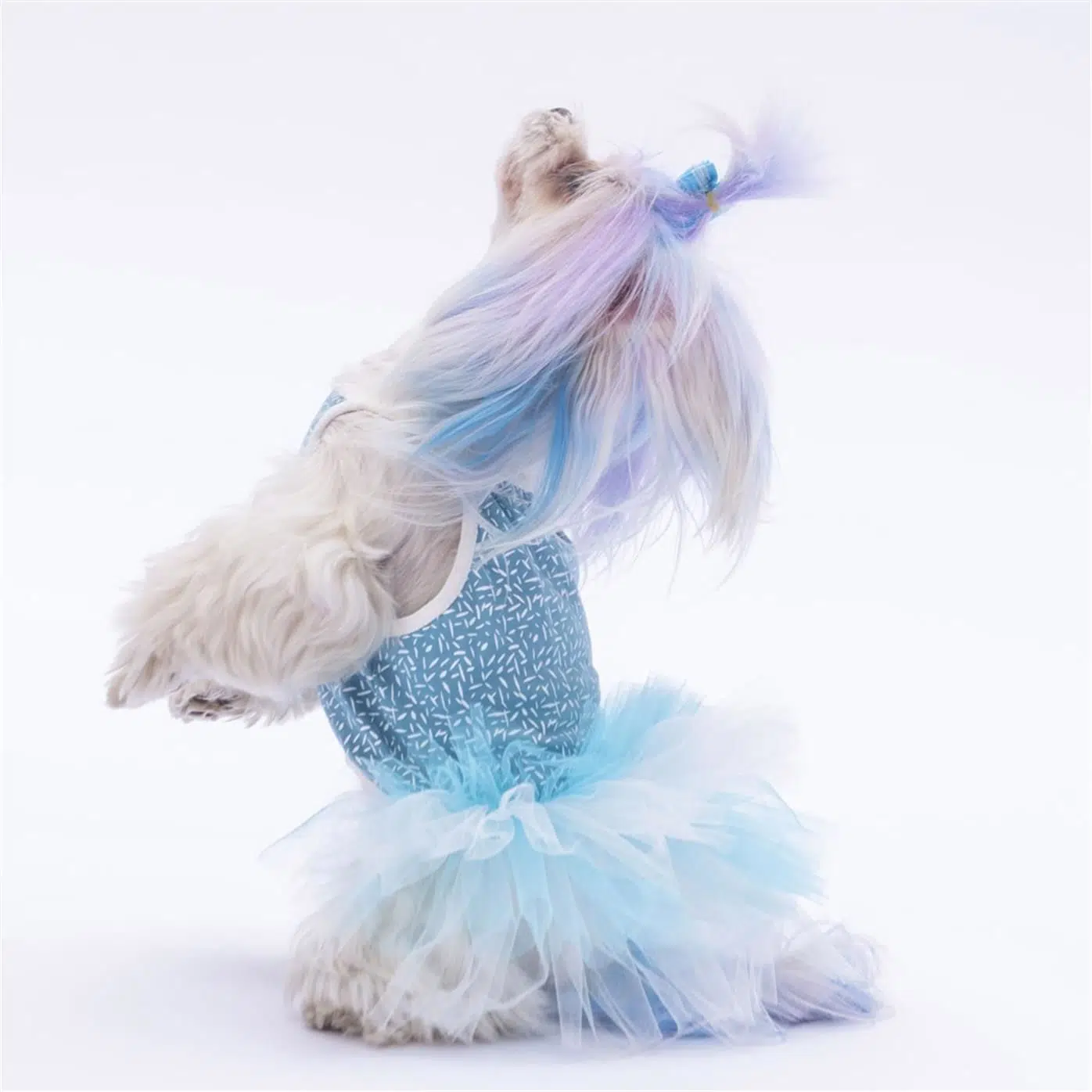 PAWSTAR POLKA MAVİ TÜTÜLÜ ELBİSE S