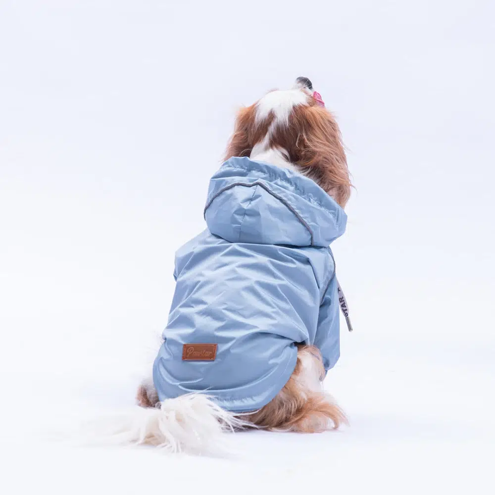 Pawstar Pulvia Yağmurluk Gri M 25501