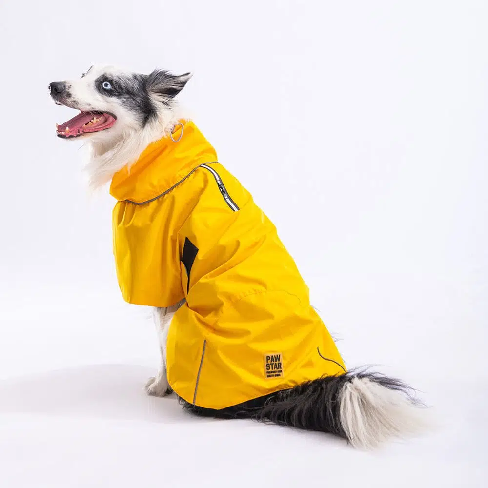 Pawstar Sarı Colombia Büyük Irk Köpek Yağmurluğu L 23532