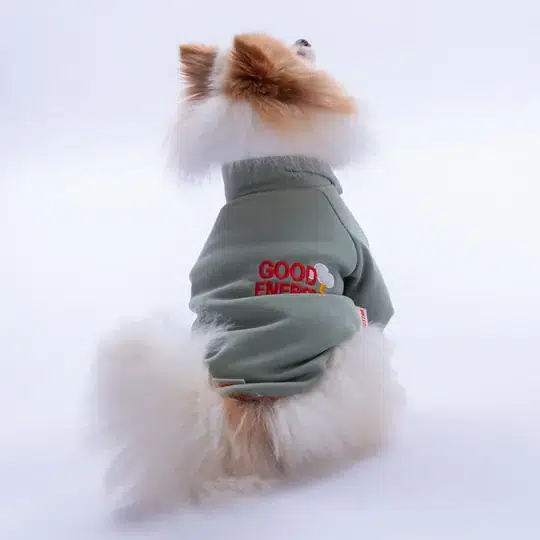 Pawstar Seattle Yeşil Sweat 2XL 25718